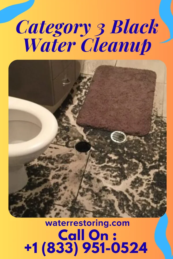 Category 3 Black Water Cleanup in Pine Lake, GA