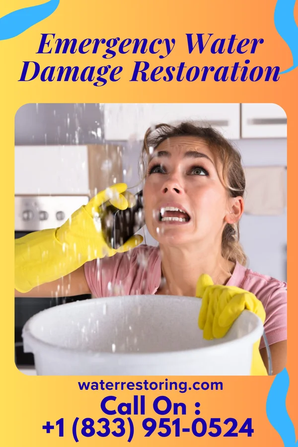 Emergency Water Damage Restoration in Pine Lake, GA